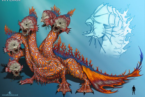 Solaris kraken