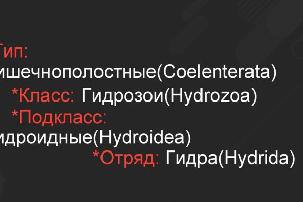 Как восстановить пароль на кракене